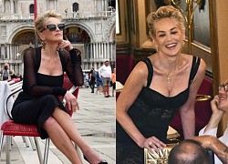 Sharon Stone làm mẫu cho Dolce &#038; Gabbana