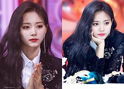 Tzuyu(TWICE): Bị fan dọa, scandal quá khứ bị đào lại