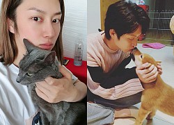 Vừa đi show mới, Heechul đã dính tranh cãi: Mượn lời chuyên gia nói chuyện nuôi thú cưng, ai dè bị "ném đá" dữ dội