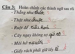 Ảnh vui 5/8: Cười mệt với học trò lớp 1 điền thành ngữ siêu lầy