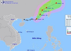 Bão số 4 gây mưa to gió lớn, tàu thuyền đề phòng nguy hiểm