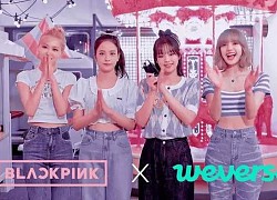 BLINKS thành 'chúa hề' khi bị bào tiền cho dự án kỷ niệm debut của BLACKPINK