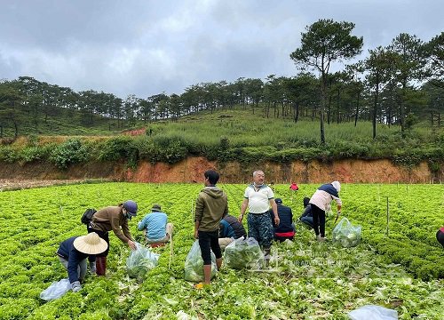 Món quà "cây nhà lá vườn" của bà con Long An: "Ai cần thì lấy 1 bọc"