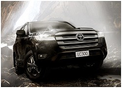 Land Cruiser: Lái xe trên mọi loại địa hình mà không cảm thấy mệt mỏi