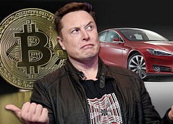 Những người đủ tầm thay thế Elon Musk