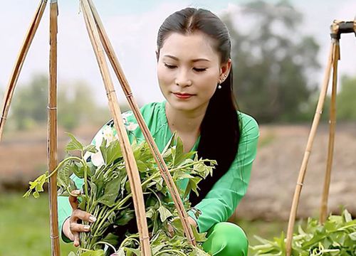 Ca khúc 'Dưới quê vui hơn' gây sốt mạng xã hội Mỹ