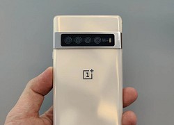 Hoá ra OnePlus từng có một chiếc smartphone với thiết kế giống hệt Pixel 6