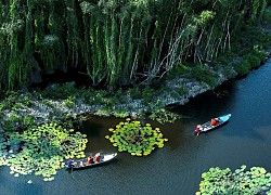 Đánh thức "nàng công chúa đang ngủ" ở Đồng Tháp Mười