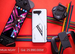 Phone Arena khẳng định đây là 11 smartphone tốt nhất năm 2021