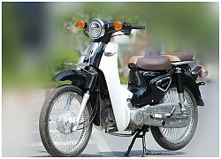 Xe Cub 50 có những ưu và nhược điểm gì?