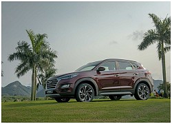 Xe đa dụng gầm cao: Chọn Hyundai Tucson hay Honda CR-V?