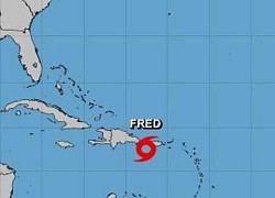 Bão nhiệt đới Fred hình thành ngoài khơi Puerto Rico