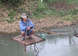 Bất ngờ chủ nhà sáng tạo cáp treo 'cây nhà lá vườn' để đi qua sông cực lạ, dân mạng 'tròn mắt'