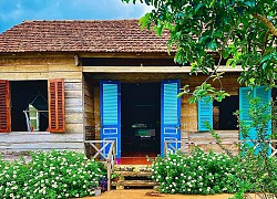 Bỏ phố về rừng làm farmstay, homestay tiền tỷ của giới nhà giàu Hà Nội