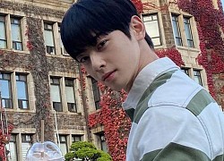 Có một trường đại học là bối cảnh của cả tá phim Hàn đình đám, nhìn Cha Eun Woo tới lớp mà muốn nhập học liền!