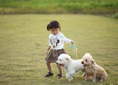 Được khuyên sinh con thì nên bán thú cưng nhưng mẹ bỉm không nỡ, giờ vừa có "boss" trông bé giúp, các con lại học được điều hay