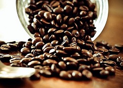 Giá cà phê hôm nay 10/8: Robusta, arabica cùng đảo chiều tăng mạnh, còn nguyên nỗi lo nguồn cung