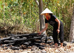 Hàng loạt nhà chứa rơm bị cháy bí ẩn trong đêm