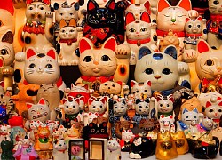 Những điều thú vị về mèo thần tài Maneki Neko ở Nhật Bản