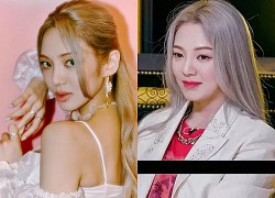 Từng bị chê kém sắc nhất SNSD, Hyoyeon được so với cả nữ thần Irene (Red Velvet) nhưng ai ngờ làm nổ ra tranh cãi dữ dội