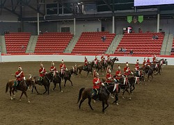 Du lịch Canada trở lại sau đại dịch Covid-19: Lễ hội Calgary Stampede 2021 cùng những cách phòng dịch