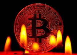 Giá Bitcoin hôm nay 13/8: Thị trường cháy đỏ, Bitcoin giảm sâu