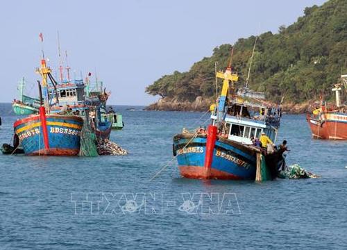 Kiên Giang tiến tới chấm dứt khai thác hải sản trái phép