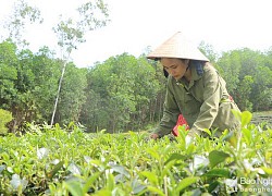 Á khoa khối C toàn quốc chia sẻ bí quyết tự học