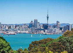 Auckland - thành phố đáng sống