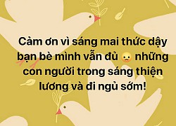 Bài test nhân phẩm liên quan đến "bẫy" clip sex chia netizen ra làm 4 "phe", bạn thuộc nhóm nào?