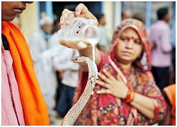 Naga Panchami, lễ hội tôn thờ rắn thiêng của tín đồ đạo Hindu