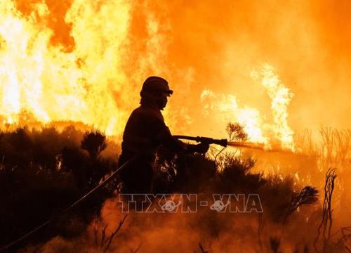 Cháy rừng tại nhiều địa phương của Tây Ban Nha