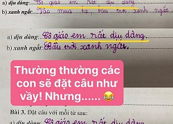 Đặt câu với từ &#8220;dịu dàng&#8221;, học sinh tiểu học trổ tài ra sao mà cô giáo phải thốt lên: Pha đặt câu đi vào lòng đất!