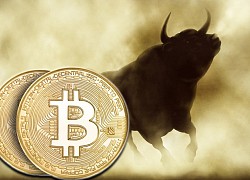 Giá Bitcoin hôm nay 16/8: Bitcoin đứt mạch tăng sốc