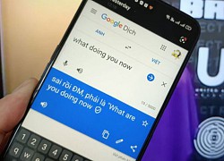 Google Dịch sửa lỗi hiển thị 'Sai rồi ĐM'