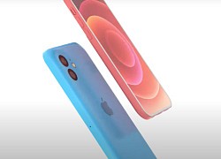 Lộ concept iPhone 13C, sản phẩm giá rẻ của Apple