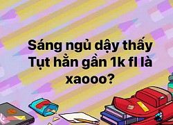 Lý do nhiều người dùng Facebook Việt "ngủ dậy thấy tụt cả nghìn người theo dõi"?