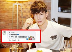 Nathan Lee 'cảnh cáo' đánh sập trang của antifan, nhân tiện thông báo vẫn đang đi mua bài