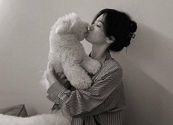 Song Hye Kyo hôn thú cưng, nhan sắc &#8220;đỉnh của chóp&#8221; vẫn gây tranh cãi