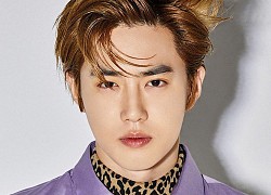 Suho (EXO): Mỹ nam "con nhà người ta" đích thực của K-pop