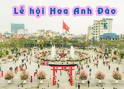 Tìm hiểu lễ hội hoa anh đào ở Hải Phòng có điều gì đặc biệt?