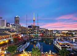 Toplist những địa điểm du lịch New Zealand nổi tiếng nhất