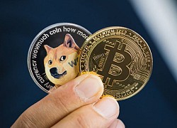 Từ Bitcoin đến Dogecoin đều hồi phục mạnh mẽ, thị trường tiền số lại vượt mức vốn hóa 2 nghìn tỷ USD