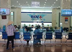 Bảo hiểm tiền gửi Việt Nam tham gia kiểm soát đặc biệt đối với TCTD