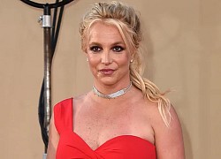 Cảnh sát điều tra Britney Spears