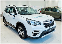 CX-5, CR-V, Forester đua giảm giá hàng trăm triệu đồng