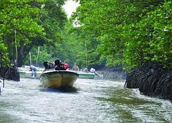 Di tích rừng Sác Nhơn Trạch