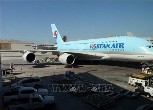 Korean Air sẽ ngừng sử dụng máy bay cỡ lớn trong 10 năm tới