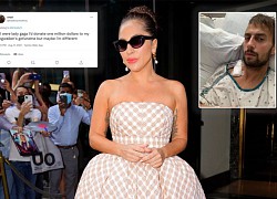 Lady Gaga bị chỉ trích không cưu mang ân nhân cứu đàn chó