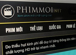 Người đứng đầu Phimmoi.net đặt máy chủ ở đâu trước khi bị khởi tố?